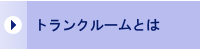 トランクルームとは